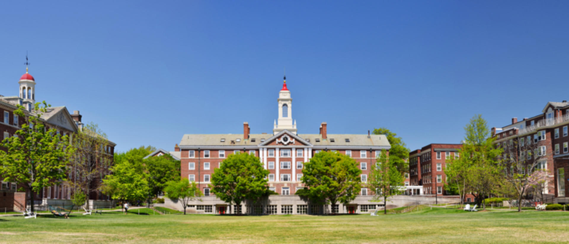 2021 New England Virtual SACNAS Regional Meeting | 2021 New England ...